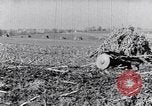 Standbild Terrasse Landwirtschaft United States USA, 1939, aus Sekunde 45 historischem Filmmaterial Videoclip 65675037170