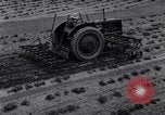 Standbild Terrasse Landwirtschaft United States USA, 1939, aus Sekunde 56 historischem Filmmaterial Videoclip 65675037170