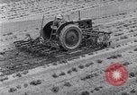 Standbild Terrasse Landwirtschaft United States USA, 1939, aus Sekunde 58 historischem Filmmaterial Videoclip 65675037170