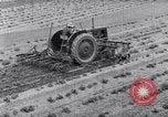 Standbild Terrasse Landwirtschaft United States USA, 1939, aus Sekunde 59 historischem Filmmaterial Videoclip 65675037170