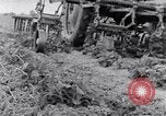 Standbild Terrasse Landwirtschaft United States USA, 1939, aus Sekunde 61 historischem Filmmaterial Videoclip 65675037170