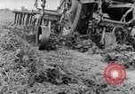 Standbild Terrasse Landwirtschaft United States USA, 1939, aus Sekunde 62 historischem Filmmaterial Videoclip 65675037170