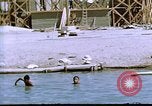 Immagine di Nisei centri di trasferimento United States USA, 1940, secondo 60 filmato di repertorio 65675037174