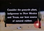 Image of relocated Nisei scientist California United States USA, 1940, second 10 stock footage video 65675037177
