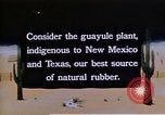 Image of relocated Nisei scientist California United States USA, 1940, second 11 stock footage video 65675037177