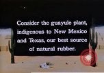 Image of relocated Nisei scientist California United States USA, 1940, second 12 stock footage video 65675037177