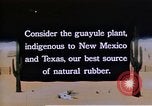 Image of relocated Nisei scientist California United States USA, 1940, second 13 stock footage video 65675037177
