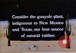Image of relocated Nisei scientist California United States USA, 1940, second 14 stock footage video 65675037177