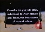 Image of relocated Nisei scientist California United States USA, 1940, second 15 stock footage video 65675037177