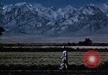 Image of relocated Nisei scientist California United States USA, 1940, second 16 stock footage video 65675037177