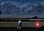 Image of relocated Nisei scientist California United States USA, 1940, second 17 stock footage video 65675037177