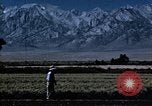 Image of relocated Nisei scientist California United States USA, 1940, second 18 stock footage video 65675037177