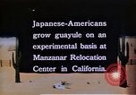 Image of relocated Nisei scientist California United States USA, 1940, second 20 stock footage video 65675037177