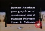 Image of relocated Nisei scientist California United States USA, 1940, second 21 stock footage video 65675037177