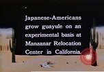 Image of relocated Nisei scientist California United States USA, 1940, second 22 stock footage video 65675037177