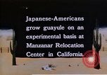 Image of relocated Nisei scientist California United States USA, 1940, second 23 stock footage video 65675037177