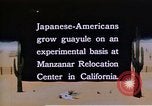 Image of relocated Nisei scientist California United States USA, 1940, second 24 stock footage video 65675037177