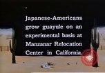 Image of relocated Nisei scientist California United States USA, 1940, second 25 stock footage video 65675037177