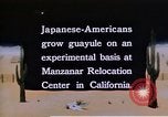 Image of relocated Nisei scientist California United States USA, 1940, second 26 stock footage video 65675037177