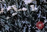 Image of relocated Nisei scientist California United States USA, 1940, second 30 stock footage video 65675037177