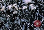 Image of relocated Nisei scientist California United States USA, 1940, second 31 stock footage video 65675037177