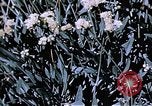 Image of relocated Nisei scientist California United States USA, 1940, second 32 stock footage video 65675037177