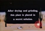 Image of relocated Nisei scientist California United States USA, 1940, second 56 stock footage video 65675037177