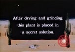 Image of relocated Nisei scientist California United States USA, 1940, second 57 stock footage video 65675037177