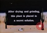 Image of relocated Nisei scientist California United States USA, 1940, second 59 stock footage video 65675037177