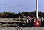 Immagine di Soldati Nisei United States USA, 1943, secondo 21 filmato di repertorio 65675037178