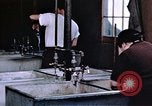 Immagine di Japanese-American civili United States USA, 1940, secondo 50 filmato di repertorio 65675037180