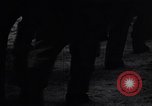 Immagine di 442Nd Regimental Combat Team Mississippi United States USA, 1944, secondo 30 filmato di repertorio 65675037182
