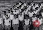 Immagine di 442Nd Regimental Combat Team Mississippi United States USA, 1944, secondo 55 filmato di repertorio 65675037182