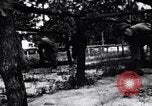 Standbild Japanese-American Rekruten Mississippi, United States USA, 1944, aus Sekunde 43 historischem Filmmaterial Videoclip 65675037185