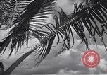 Image pilotes de la Marine américaine étant informé Honolulu Hawaii USA, 1942, de la seconde 27 séquences d'archives historiques vidéo 65675037189