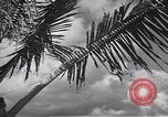 Image pilotes de la Marine américaine étant informé Honolulu Hawaii USA, 1942, de la seconde 29 séquences d'archives historiques vidéo 65675037189