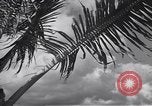 Image pilotes de la Marine américaine étant informé Honolulu Hawaii USA, 1942, de la seconde 31 séquences d'archives historiques vidéo 65675037189