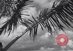 Image pilotes de la Marine américaine étant informé Honolulu Hawaii USA, 1942, de la seconde 33 séquences d'archives historiques vidéo 65675037189