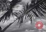 Image pilotes de la Marine américaine étant informé Honolulu Hawaii USA, 1942, de la seconde 34 séquences d'archives historiques vidéo 65675037189
