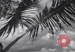 Image pilotes de la Marine américaine étant informé Honolulu Hawaii USA, 1942, de la seconde 35 séquences d'archives historiques vidéo 65675037189