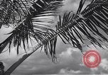 Image pilotes de la Marine américaine étant informé Honolulu Hawaii USA, 1942, de la seconde 36 séquences d'archives historiques vidéo 65675037189