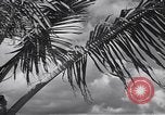 Image pilotes de la Marine américaine étant informé Honolulu Hawaii USA, 1942, de la seconde 37 séquences d'archives historiques vidéo 65675037189