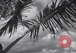 Image pilotes de la Marine américaine étant informé Honolulu Hawaii USA, 1942, de la seconde 41 séquences d'archives historiques vidéo 65675037189