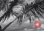 Image pilotes de la Marine américaine étant informé Honolulu Hawaii USA, 1942, de la seconde 42 séquences d'archives historiques vidéo 65675037189