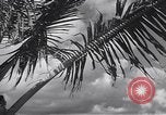 Image pilotes de la Marine américaine étant informé Honolulu Hawaii USA, 1942, de la seconde 44 séquences d'archives historiques vidéo 65675037189