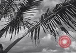 Image pilotes de la Marine américaine étant informé Honolulu Hawaii USA, 1942, de la seconde 45 séquences d'archives historiques vidéo 65675037189