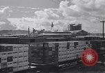 Image Railroad wagons plat transportant des matières Honolulu Hawaii USA, 1942, de la seconde 19 séquences d'archives historiques vidéo 65675037190