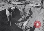 Image of Exhumation of Czech patriots Czechoslovakia, 1946, second 8 stock footage video 65675037198