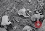 Image of Exhumation of Czech patriots Czechoslovakia, 1946, second 10 stock footage video 65675037198