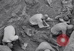 Image of Exhumation of Czech patriots Czechoslovakia, 1946, second 11 stock footage video 65675037198